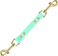 PetBonus Dog Collar Safety Clip, Waterproof Backup Safety Strap | Prong Collar to Harness Connector, Escape Proof, Odor Proof, Easy to Clean, Double Ended Clasp for Training, Mint Green by Petbonus