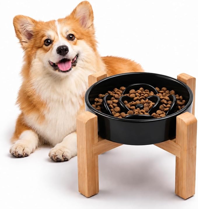 Elevated Ceramic Slow Feeder Dog Bowl with Stand 8.26in for Small&Medium Pet Raised Slow Feeder Dog Bowls Heavy Weighted Non-Toxic Non-Slip (Black, for Small&Medium Size) by YWIY