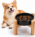 Elevated Ceramic Slow Feeder Dog Bowl with Stand 8.26in for Small&Medium Pet Raised Slow Feeder Dog Bowls Heavy Weighted Non-Toxic Non-Slip (Black, for Small&Medium Size) by YWIY