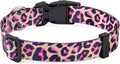 Mihqy Dog Collar for Small Dogs Puppy Cats,Fashion Design, Pink Leopard,XS | Neck Fit 7.9"-11.8", Multiple Patterns，4 Sizes for Small Medium Large Dogs, Comfortable for Walks and Outdoor Hikes by Mihqy