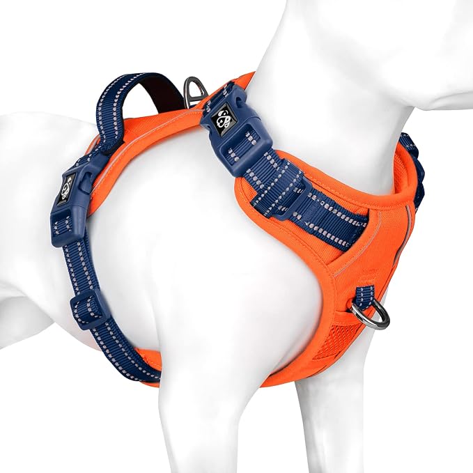 No Pull Dog Harness, Unique Colors Reflective Adjustable Dog Vest | with Soft Training Handle Metal Clips for Small Medium Large Dogs (Orange Base & Blue Straps,S) by PHOEPET