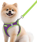 rabbitgoo Dog Harness Small Sized and Leash Set, Step in Soft Vest | Breathable Mesh, Easy Wear with Hook & Loop, Light and Reflective for Walking, Multi-colored, Purple & Green, M by rabbitgoo