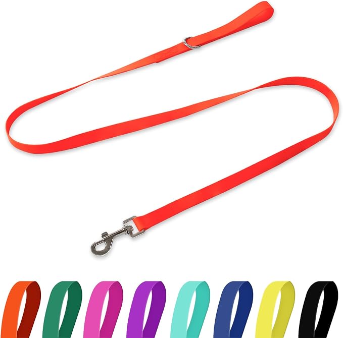 Waterproof Dog Leash, 5/6 FT Durable Odor-Proof Dog Leashes with Strong Metal Hooks Fits Small Medium or Large Dogs (Orange, 5FT - 3/4 inch Width) by KiddingPets