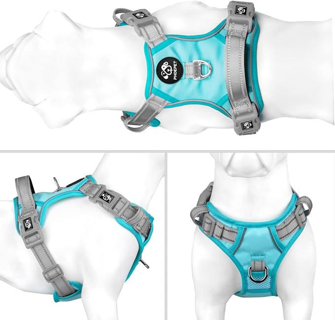 No Pull Dog Harness, Unique Colors Reflective Adjustable Dog Vest, with Soft Training Handle Metal Clips for Small Medium Large Dogs (Mint Green Base & Grey Straps,L) - Image 2