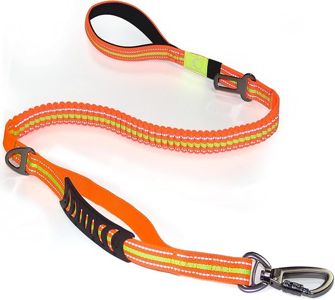 Heavy Duty Bungee Dog Leash with Locking Carabiner for Large Dogs | No Pull Bungee Shock Absorbing, 2 Padded Handles for control, Fits 60-150 lbs Dogs, Seatbelt Buckle, Reflective by Fashion%26cool