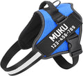 MUMUPET Custom Dog Harness Vest with 2 Personalized Name & Phone Patches | No Pull Reflective Adjustable with Handle, Soft Breathable Padding for Large Dogs (Blue, L) by mumupet