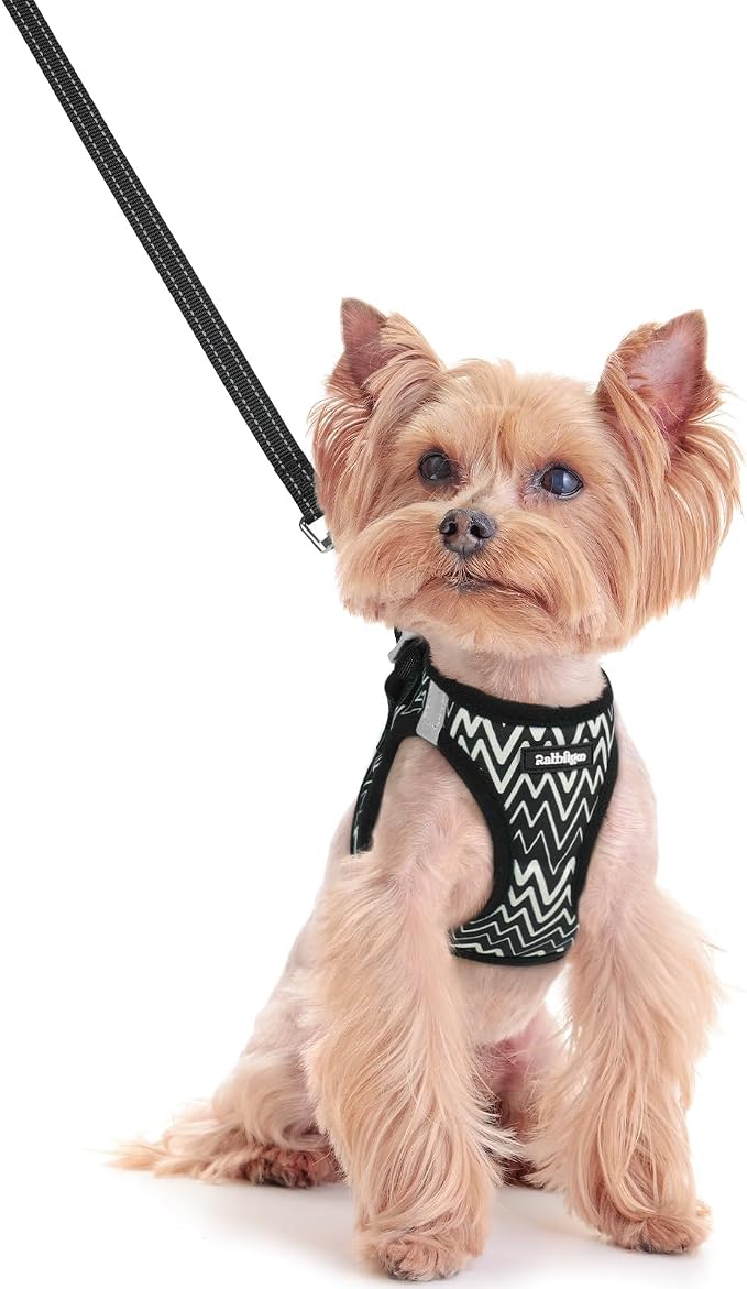 rabbitgoo Dog Harness Small Sized and Leash Set, Step-in Puppy Pet Vest | Light, Soft, Breathable Air Mesh, Easy on and Remove with Hook & Loop, Secure Reflective for Walking, Black Zigzag XXS by rabbitgoo