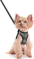 rabbitgoo Dog Harness Small Sized and Leash Set, Step-in Puppy Pet Vest | Light, Soft, Breathable Air Mesh, Easy on and Remove with Hook & Loop, Secure Reflective for Walking, Black Zigzag XXS by rabbitgoo