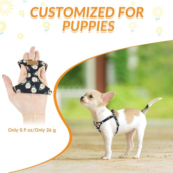 SlowTon No Pull Dog Harness with Leash for Small Medium Dogs, Black S | Floral Pattern, Step-in, Lightweight, Easy Put On and Off, No Choke, Soft Cotton and Suede for Daily Walking - Image 2