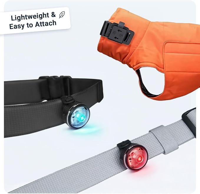 PAJ MINI Clip-On LED Dog Collar Light | USB Rechargeable - Waterproof - 7 Bright Colours - 8 Light Modes - Fit any Collar - Image 6