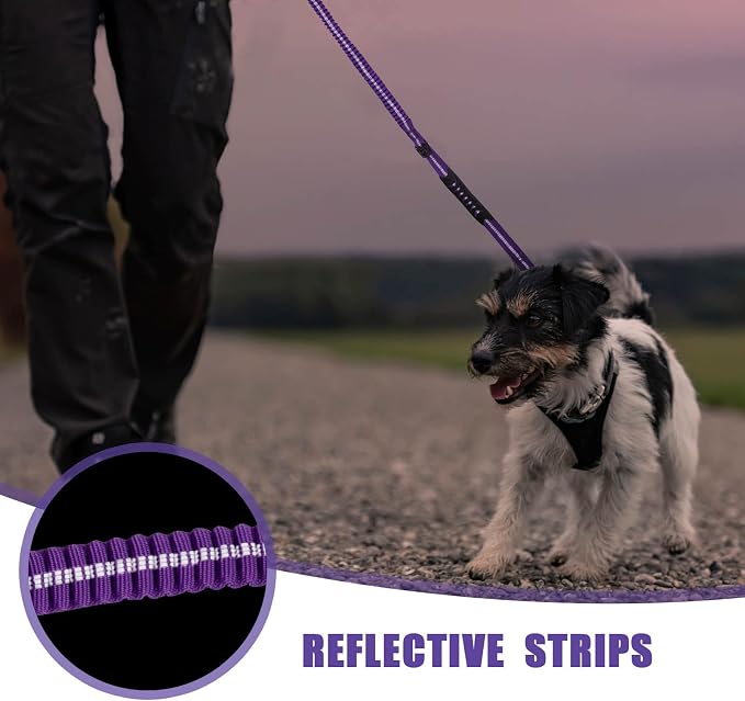 Raipult Tactical Shock Absorbing Bungee Dog Leash Heavy Duty, 4-6ft, Purple | for Large Dogs That Pull, Quick-Release Frog Clip, Dual Handles for Close Control, Car Seat Belt Clip, Reflective at Night - Image 6