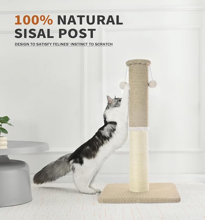 Made4Pets Tall Cat Scratching Post with Sisal & Carpet for Indoor Cats, 33" | Cat Scratcher with Wide Stable Base, Interactive Hanging Toys, Ideal for Adult Cats, Large Breeds and Full-Body Stretching - Image 8