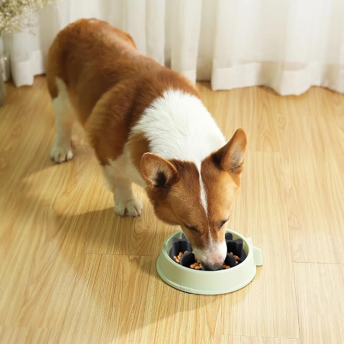 Soft Silicone Anti-Choking Puzzle Dog Bowl Insert, Anti-Slip Slow Eating Feeder for Regular Elevated Dog Bowls - Image 2