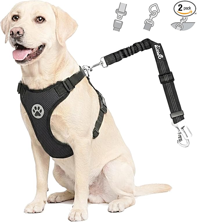 Lukovee Dog Car Harness Seat Belt, Harness & Seatbelt with 2 in 1 Buckle | Adjustable Soft Breathable Mesh Harness, Reflective Elastic Reflective Tether, for Small Medium Large Dogs Pets (Black,XXS) by Lukovee