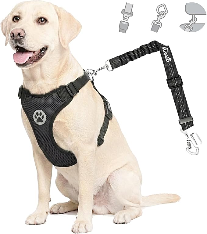 Lukovee Dog Car Harness Seat Belt, Harness & Seatbelt with 2 in 1 Buckle | Adjustable Soft Breathable Mesh Harness, Reflective Elastic Reflective Tether, for Small Medium Large Dogs Pets (Black,S) by Lukovee