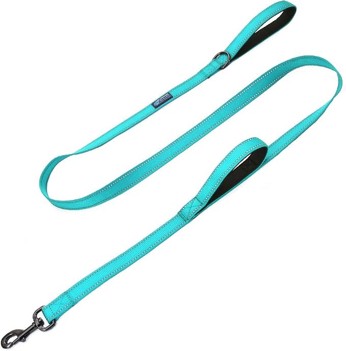 Max and Neo Double Handle Traffic Dog Leash - Reflective, Donates to Dog Rescue (Teal, 4 FT) by MaxandNeo