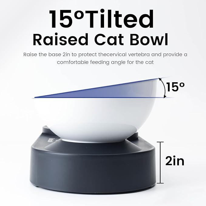 Raised Dog Cat Food Bowl, Cat Food and Water Bowl Set with Water Dispenser, Stainless Steel Bowls and Feeding Mat, Food Feeding Dishes for Indoor Cats and Small Dogs, Black - Image 4