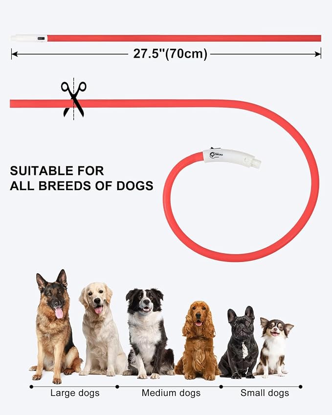Joytale Light Up Dog Collar, LED Silicone Cut-to-Fit Rainproof, Red | Soft Skin-Friendly Won't Chafe, 360° Glow Keeps Dogs Visible at Night, 3 Modes, Rechargeable USB-C, Small Medium Large Dogs - Image 6