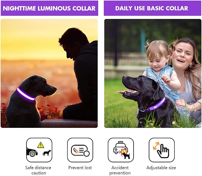 MASBRILL Light Up Collar, LED Rechargeable Glow Flashing Night Collar, Waterproof, 4 Colors, 3 Sizes for Small to Large Dogs (S(0.98 * 15.75"), Purple) - Image 5