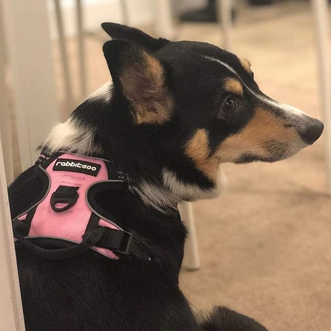 rabbitgoo Dog Harness, No Pull for Small Dogs with 2 Leash Clips, Pet Vest | No Choke with Handle, Adjustable Soft Padded, Reflective, Easy Control for Walking, Pink, Small - Image 8