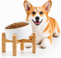 Petygooing White Raised/Elevated 15°Slanted Ceramic Dog Bowl for Small Breeds,Tilted Anti Slip Pet Feeding Bowl,Food Water Dish with Stand for Cats and Small Dogs Puppy 13.5 OZ (5.1In / 1.7 Cups) by PetygooingforYOURLOVEDPET