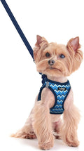 rabbitgoo Dog Harness Small Sized and Leash Set, Step-in Puppy Pet Vest | Light, Soft, Breathable Air Mesh, Easy on and Remove with Hook & Loop, Secure Reflective for Walking, Blue Zigzag XXS by rabbitgoo