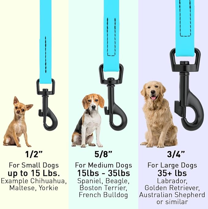 Dogline Biothane Waterproof Dog Leash Strong Coated Nylon Webbing with Black Hardware Odor-Proof Easy to Clean High Performance for Small or Large Dogs Made in USA 4 or 6 ft Lead, Sky Blue - Image 3
