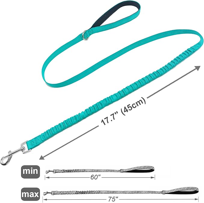 5FT Bungee Dog Leash Shock Absorbing Reflective Small Medium Dogs | Nylon Lightweight Leash- 2cm Wide- Anti- Pull Training- 6 Colors (Turquoise) - Image 4