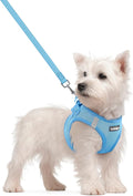 rabbitgoo Dog Harness Small Sized and Leash Set, Step-in Puppy Pet Vest | Light, Soft, Breathable Air Mesh, Easy on and Remove with Hook & Loop, Secure Reflective for Walking, Blue S by rabbitgoo