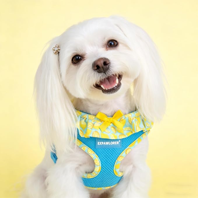 EXPAWLORER Step-in Dog Harness Small Sized and Leash Set | Cute Small Dog Harness No Pull Girl, Breathable Soft Mesh Padded, Adjustable Light Puppy Vest for Dogs Cats, Lemon S - Image 7