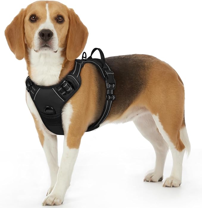 Eagloo Dog Harness for Small Dogs, No Pull Pet Vest with 2 Leash Clips | No Choke with Handle, Adjustable Comfort Fit, Reflective Strips, Easy Walking Control, Black, Small by GoExplorewithEagloo