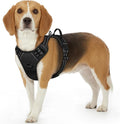Eagloo Dog Harness for Small Dogs, No Pull Pet Vest with 2 Leash Clips | No Choke with Handle, Adjustable Comfort Fit, Reflective Strips, Easy Walking Control, Black, Small by GoExplorewithEagloo