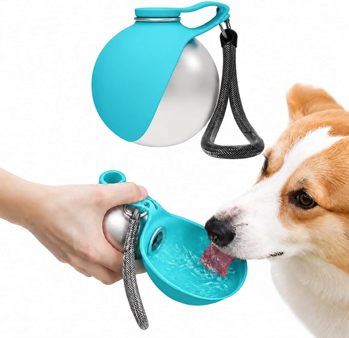 2-in-1 Portable Dog Water Bottle, 10 oz Stainless Steel with Foldable Bowl | Sealed lid, BPA-free silicone, carry strap, easy-rinse design for walks, hikes, and travel by Unknown