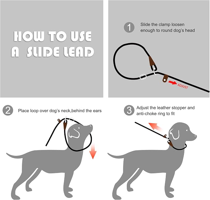 Fida Durable Slip Lead Dog Leash, 6 FT x 3/8" Dog Training Leash, Green | For Small Dogs and Puppies, Comfort Heavy Duty Rope Slip Leash, Highly Reflective for Night Safety, No Pull Pet Loop Leash - Image 6