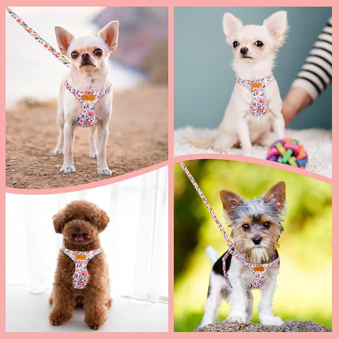 SlowTon No Pull Dog Harness with Leash for Small Medium Dogs, Flower S | Floral Pattern, Step-in, Lightweight, Easy Put On and Off, No Choke, Soft Cotton and Suede for Daily Walking - Image 7