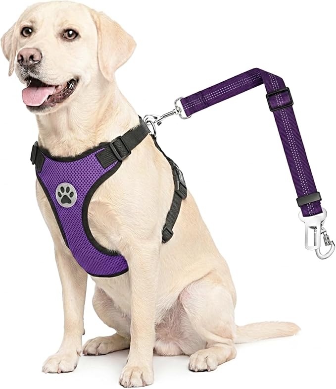 Lukovee Dog Car Harness Seat Belt, Harness & Seatbelt with 2 in 1 Buckle | Adjustable Soft Breathable Mesh Harness, Reflective Elastic Reflective Tether, for Small Medium Large Dogs Pets (Purple,L) by Lukovee