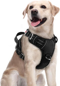 rabbitgoo Dog Harness Medium Sized, No Pull 3 Buckles Easy On & Off | Soft Padded, Walking with Control Handle, Adjustable and Reflective, Black, Medium by rabbitgoo