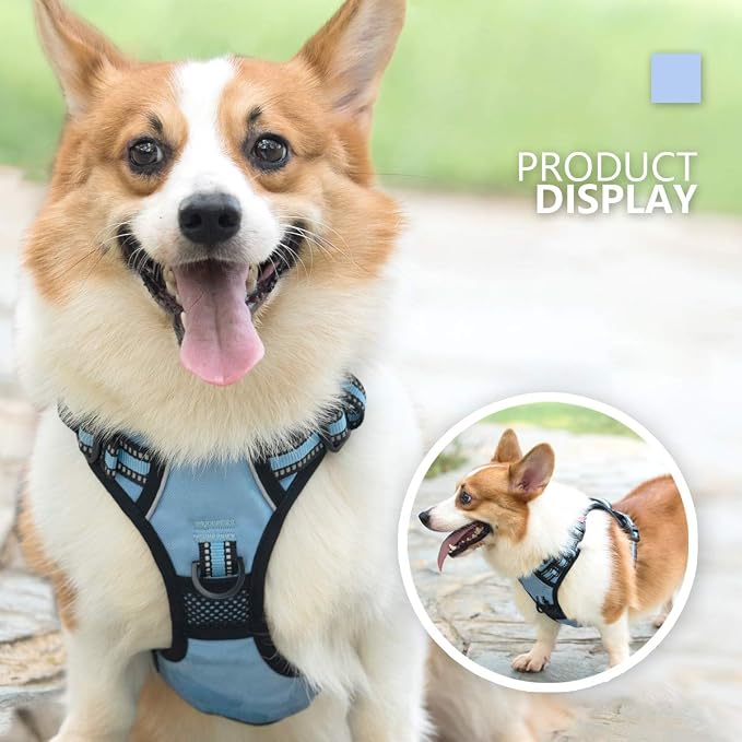 PoyPet Dog Harness Medium, No Pull Vest with Front/Back Clip & Neck Buckle | No Choke, Lockable, Reflective, 2 Lead Rings, Adjustable, Soft Padded Handle for Training Walking, M, Light Blue - Image 7