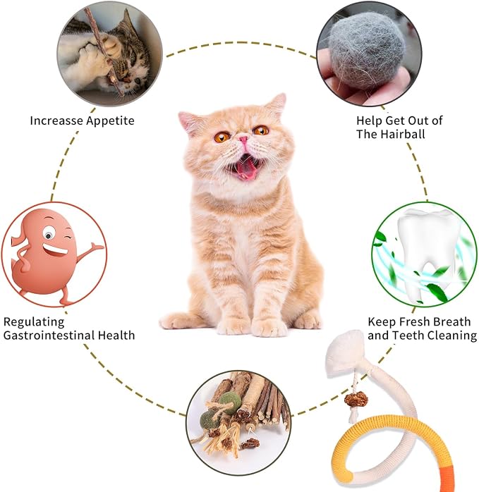 Kyouki Cat Toys Cat Chew Toys, Silvervine Sticks Catnip Rope Toys for Cats Teeth Cleaning, Kitten Dental Care, Kitty for Indoor Cats Increase Appetite,Enhances Oral & Dental Health (21 Pack) - Image 4