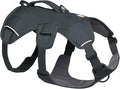 Ruffwear, Web Master, Multi-Use Support Dog Harness, Hiking and Trail Running, Service and Working, Everyday Wear, Basalt Gray, XX-Small by RuffwearInc