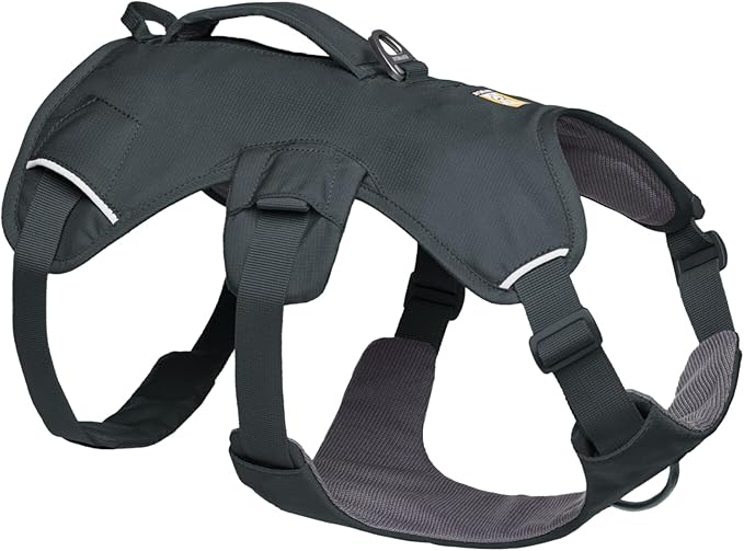 Ruffwear, Web Master, Multi-Use Support Dog Harness, Hiking and Trail Running, Service and Working, Everyday Wear, Basalt Gray, Large/X-Large by RuffwearInc