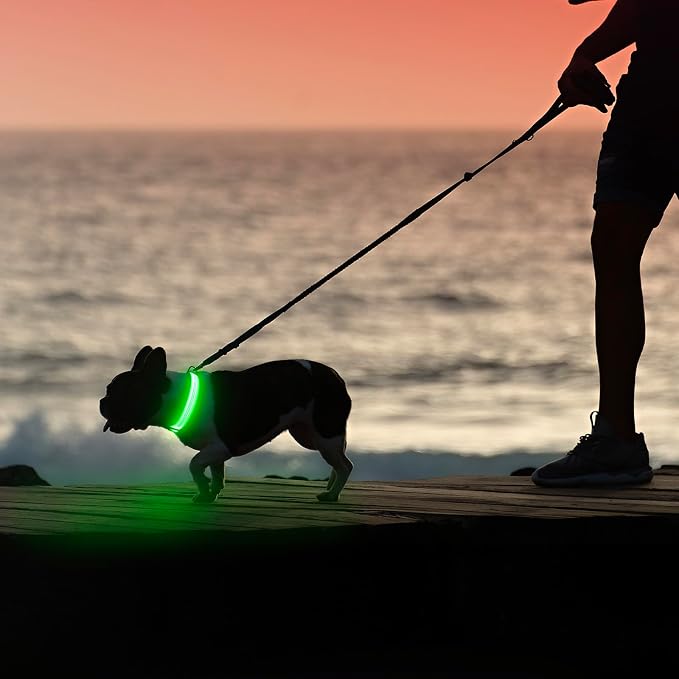 Illumifun Light Up Dog Collar, USB Rechargeable LED Dog Collar, Reflective Flash Pet Lighted Collar for Nighttime Walking (GreenⅢ, Large) - Image 6