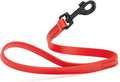 Dogline Biothane Waterproof Dog Leash Strong Coated Nylon Webbing with Black Hardware Odor-Proof Easy to Clean High Performance for Small or Large Dogs Made in USA 2 ft Lead, Cherry Red by Dogline