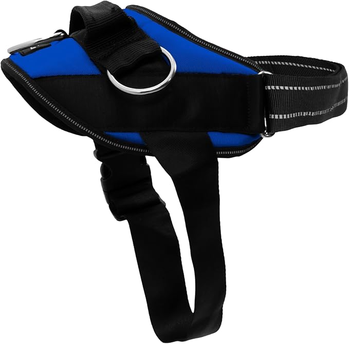 ShawnCo Essential Dog Harness, No-Pull Pet Vest (Electric Blue,XL) | 3 Leash Clips, Easy On, No-Choke, Reflective, Adjustable Fit, Padded Comfort, Control Handle, For Small, Medium & Large Dogs by SHAWNCO