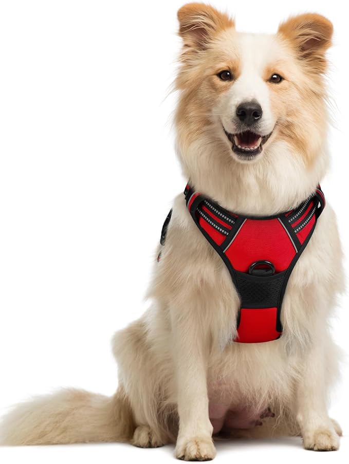 rabbitgoo Dog Harness, No Pull Medium Sized with 2 Leash Clips, Pet Vest | No Choke with Handle, Adjustable Soft Padded, Reflective, Easy Control for Walking, Red, Medium by rabbitgoo