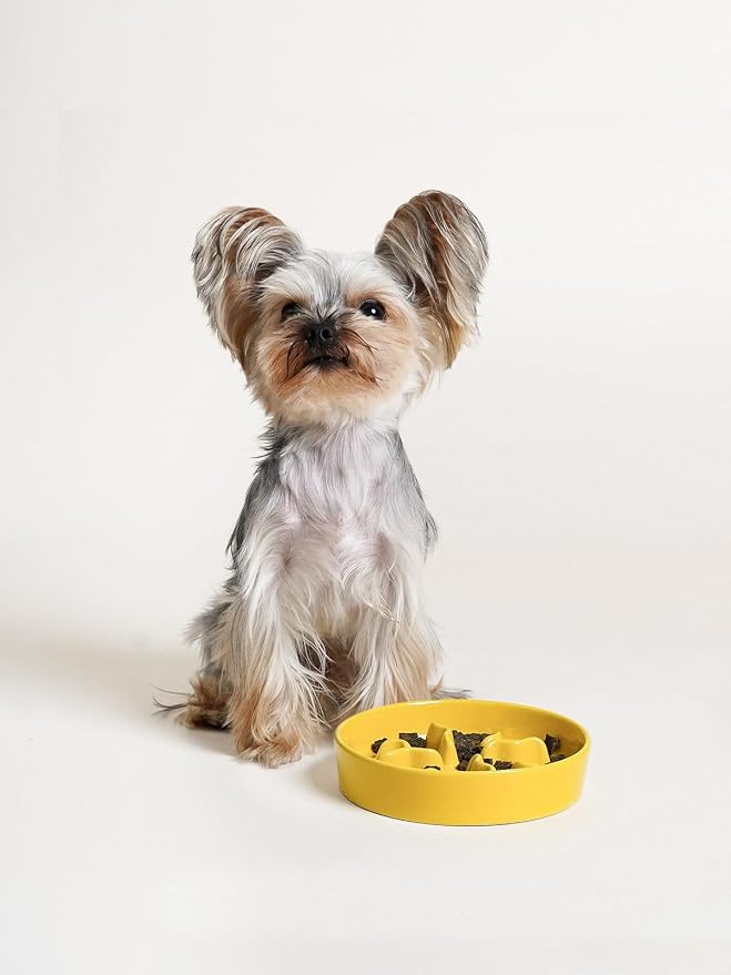 LE TAUCI PET Ceramic Slow Feeder Dog Bowls Small Breed, 0.5 Cups Dog Food Dish for Fast Eaters, Puzzle Bowl for Small Dogs and Cats, 5.5 Inch-Yellow - Image 4