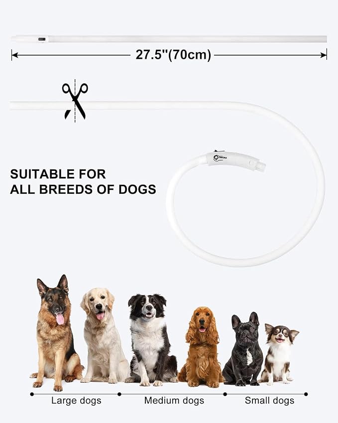 Joytale Light Up Dog Collar, LED Silicone Cut-to-Fit Rainproof, White | Soft Skin-Friendly Won't Chafe, 360° Glow Keeps Dogs Visible at Night, 3 Modes, Rechargeable USB-C, Small Medium Large Dogs - Image 6