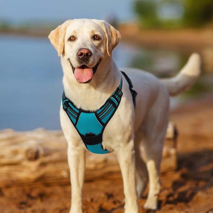 rabbitgoo Dog Harness, No Pull for Large Dogs with 2 Leash Clips, Pet Vest | No Choke, Adjustable, Breathable Padded, 2 Lead Rings, Reflective, Easy Control for Walking Training, XL, Teal - Image 8
