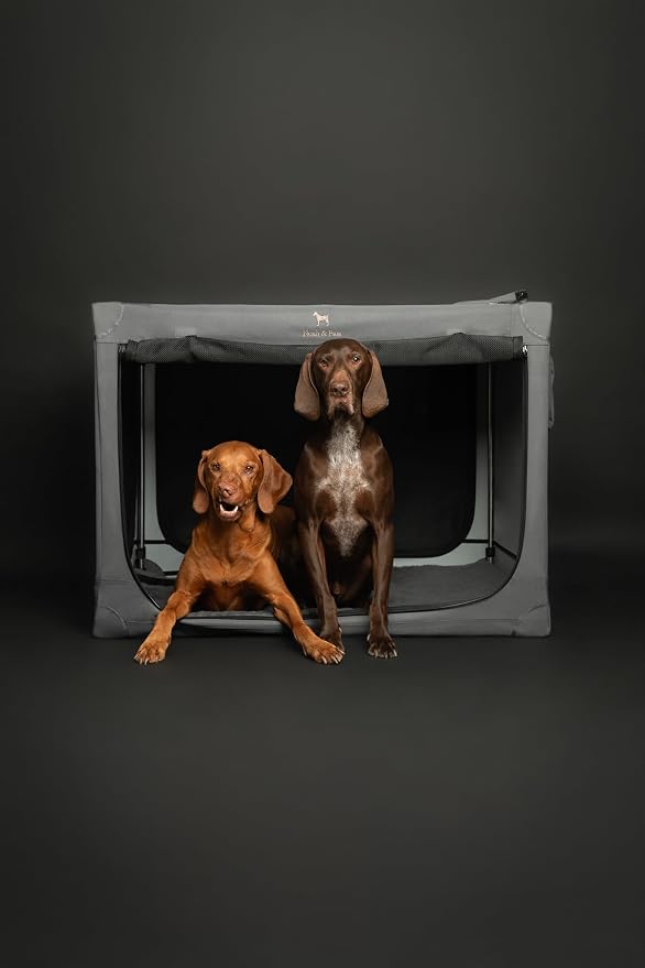 Noah & Paw Collapsible Dog Crate 42 Inch, XXL Dog Crate for XXL, XL, Large Breeds, Travel Kennel for Car, Includes Pet Mat for Pet Cage, 2 Storage Pockets, Handbag, 10mm Locking Zippers 42 * 31 * 31 - Image 8