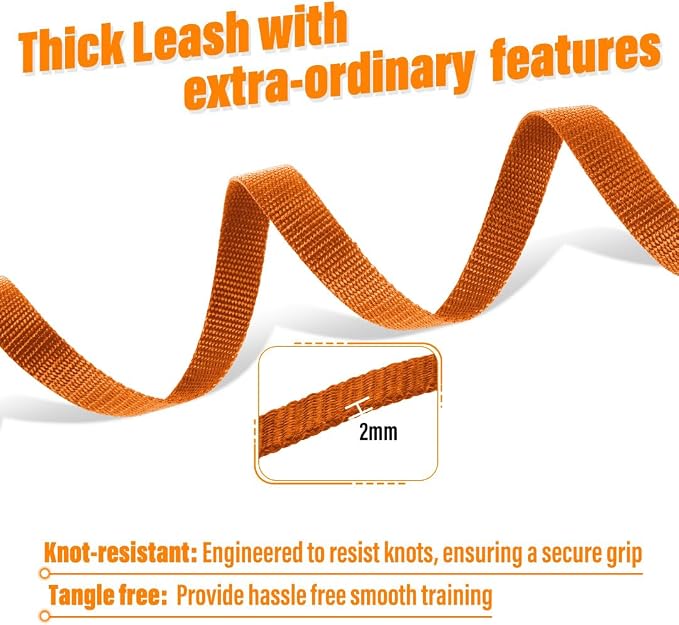 Long Line Dog Training Leash with Padded Handle, 100 ft, Orange | Durable nylon webbing with reinforced stitching and 360° swivel clip for recall and obedience - Image 2